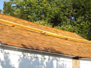 New wood shingle roof